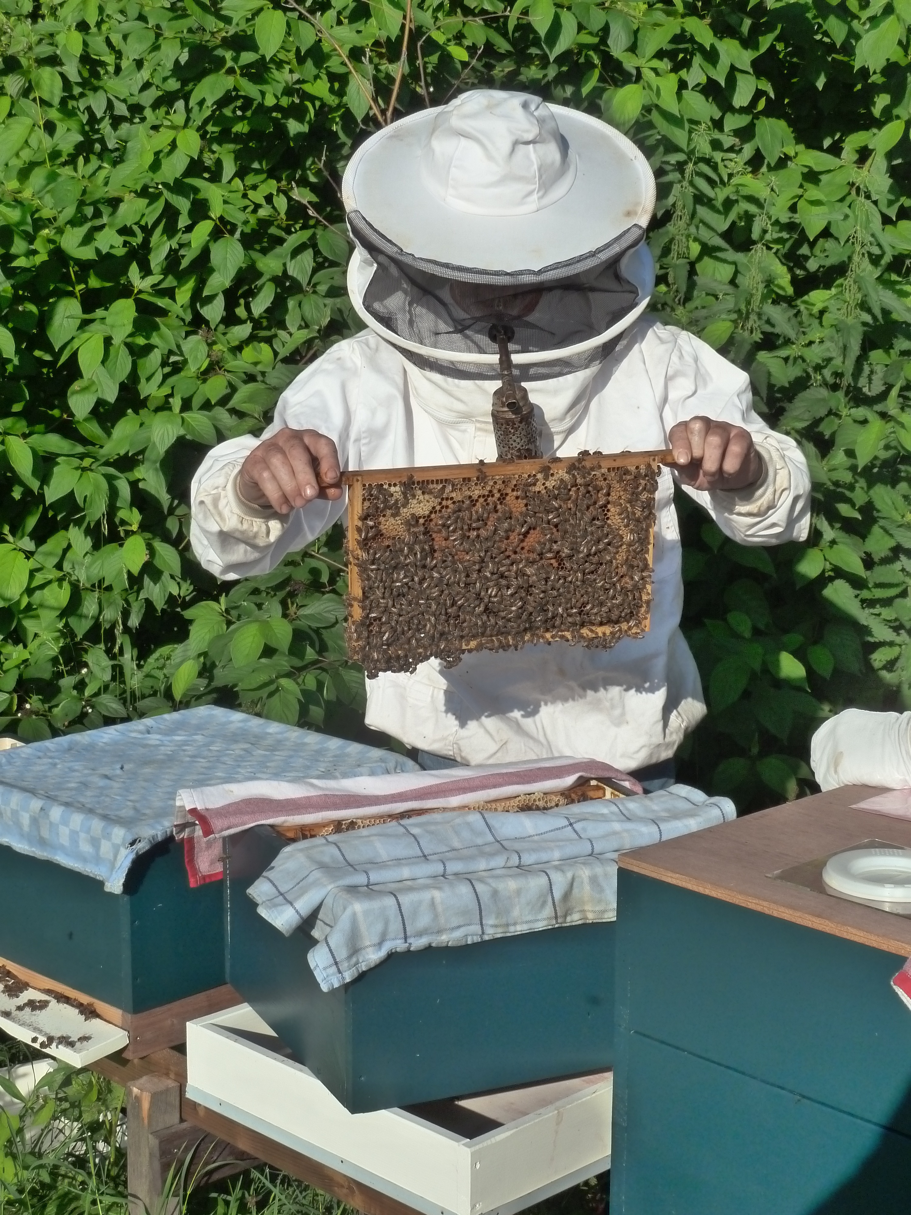 Bee hive and honey jar